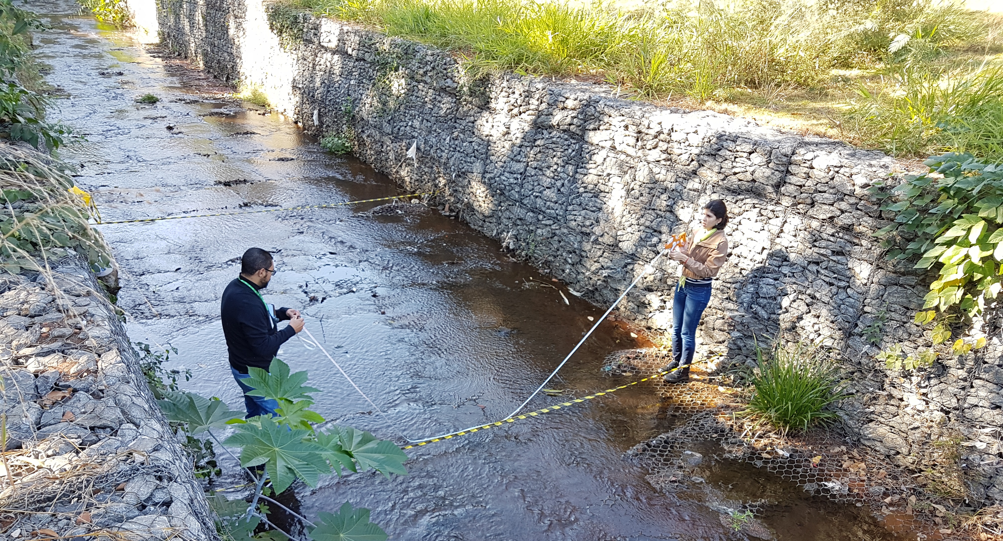 Amostras para estudo foram coletadas na nascente do córrego e nos trechos na região do Parque da Criança e do Parque Ecológico Municipal do Tamanduá