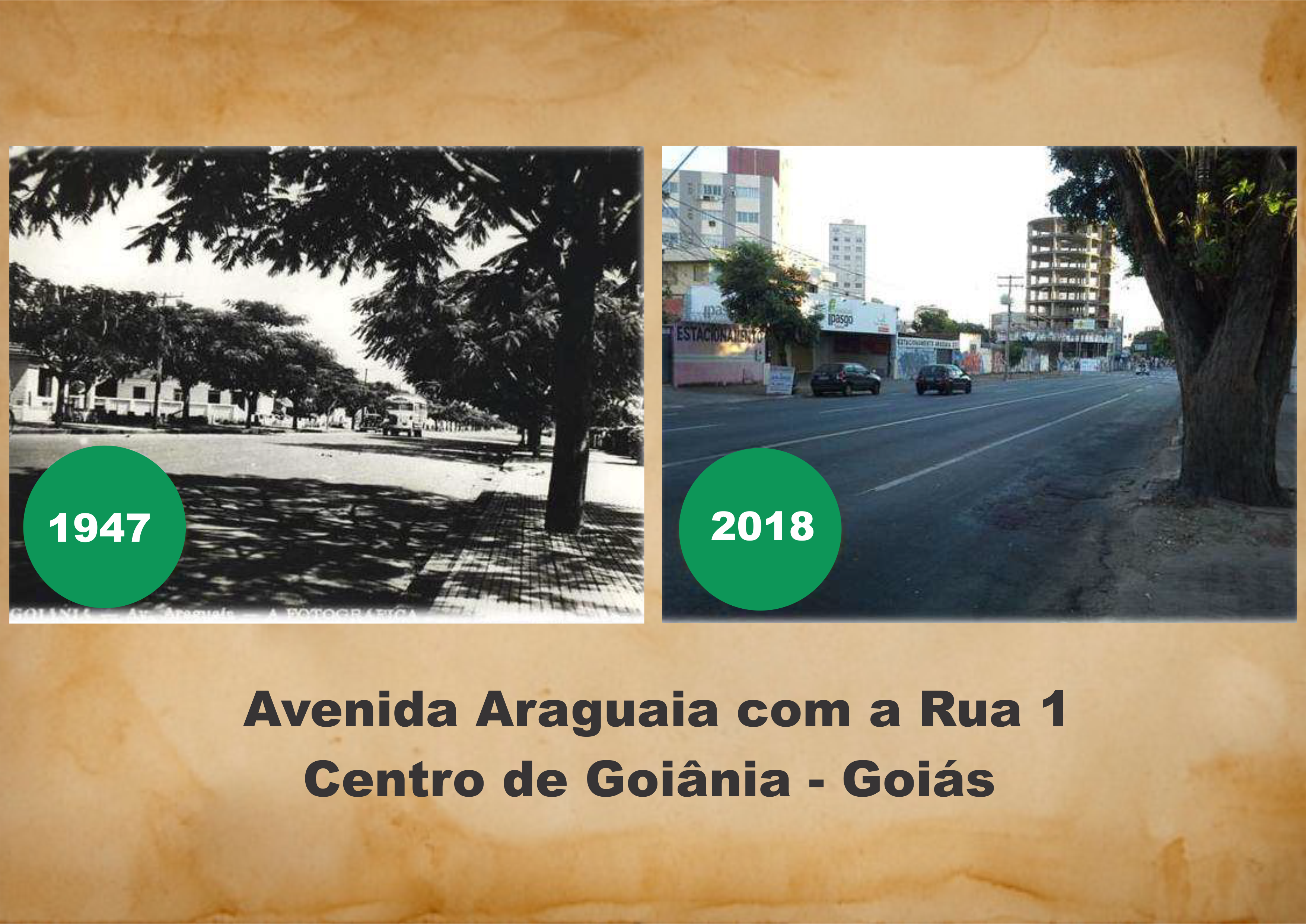 Na pesquisa, o professor Fábio de Souza desenvolveu um método para avaliar o índice de supressão de árvores especialmente  nas calçadas e canteiros em vias localizadas no Centro e setor Marista.