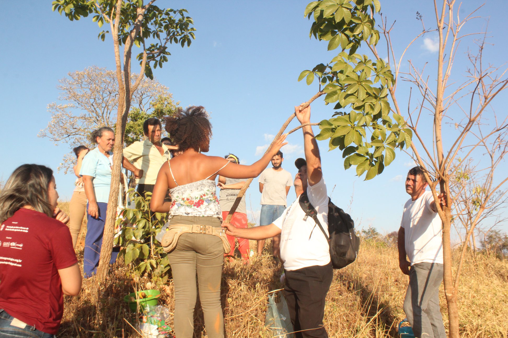 Atividade do Projeto de extensão "Plantas medicinais do cerrado", coleta e identificação de espécies. Projeto realizado em parceria com a secretaria de saúde, Núcleo de Agroecologia e Ecossistemas. Atividade do Projeto de extensão "Plantas medicinais do cerrado", coleta e identificação de espécies. Projeto realizado em parceria com a secretaria de saúde, do Núcleo de Agroecologia e Ecossistemas.