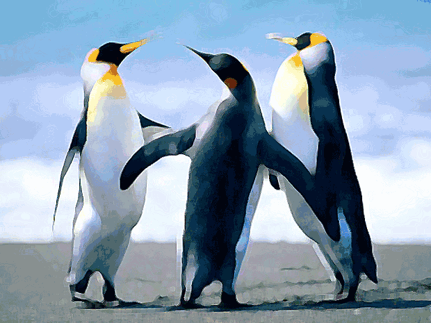 Nome do autor da imagem imagem sem descrição.